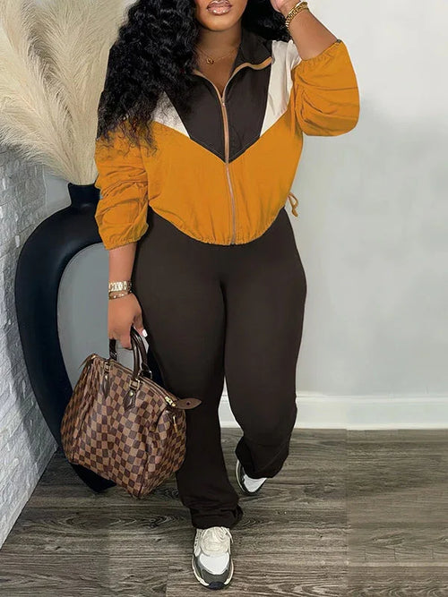 Women's Colorblock Zip-Front Crop Top & Straight Pants Set