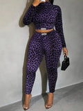 Women's Leopard Print Crop Top & High-Waist Pants Set